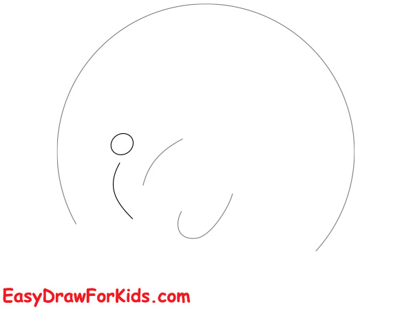 How to draw a peacock realistic step 1