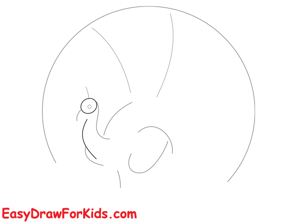 How to draw a peacock realistic step 2