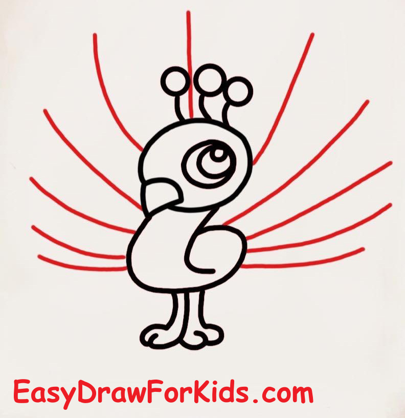How to draw a peacock step by step step 5