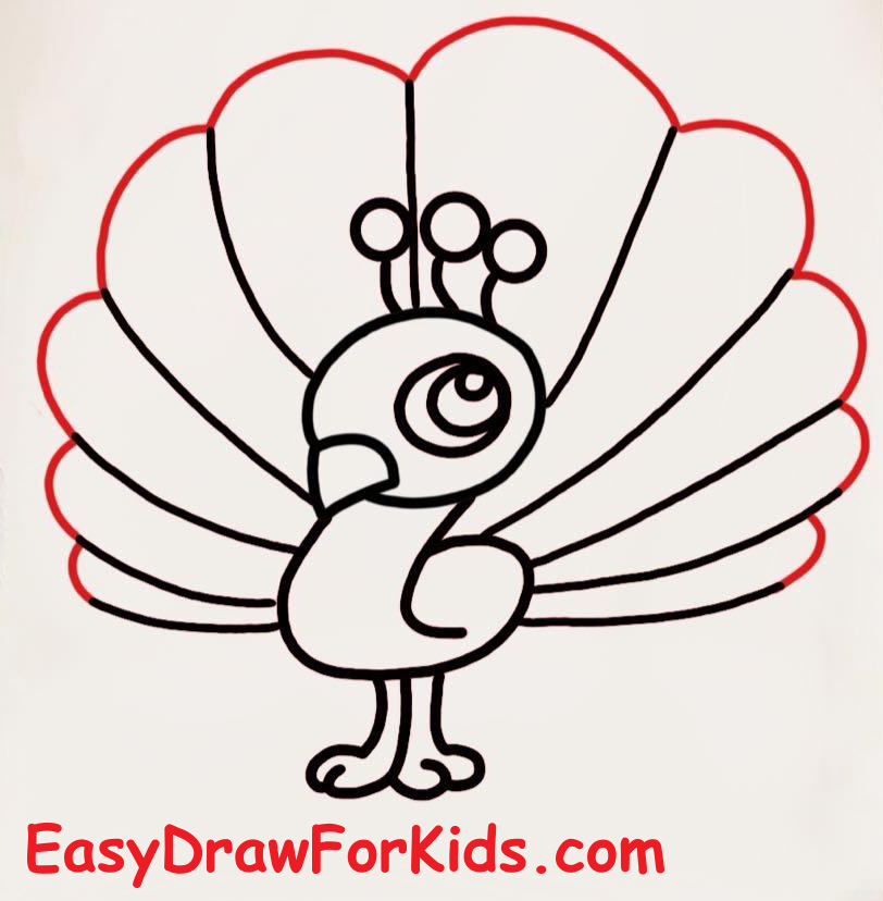 How to draw a peacock step by step step 6