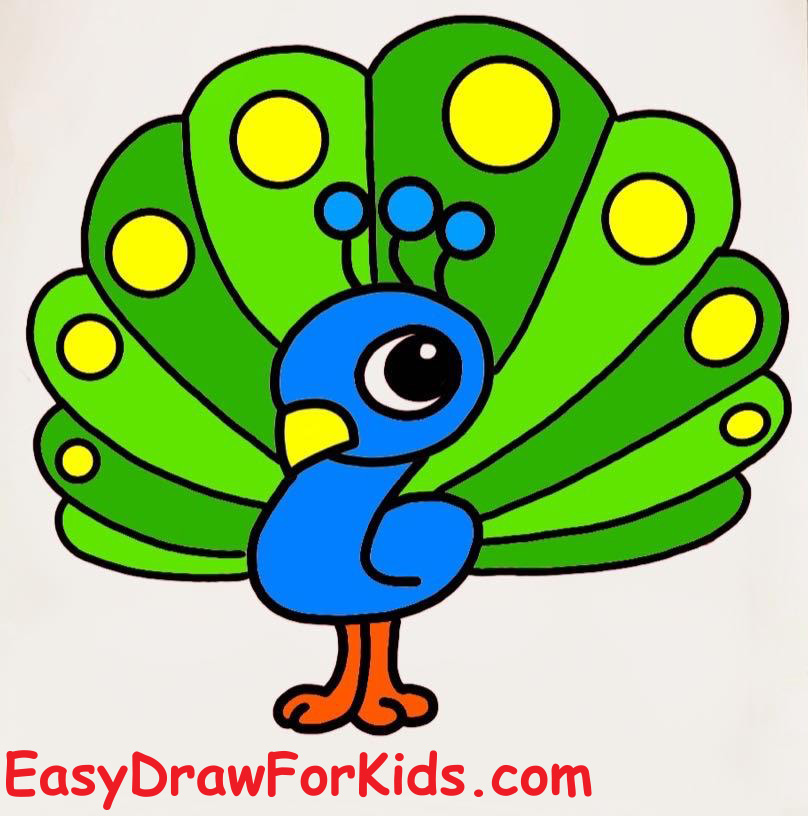 How to draw a peacock step by step step 8