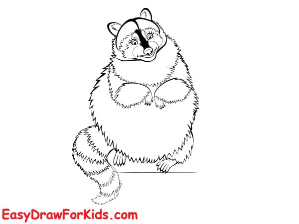 How to draw a raccoon realistic easy step 6