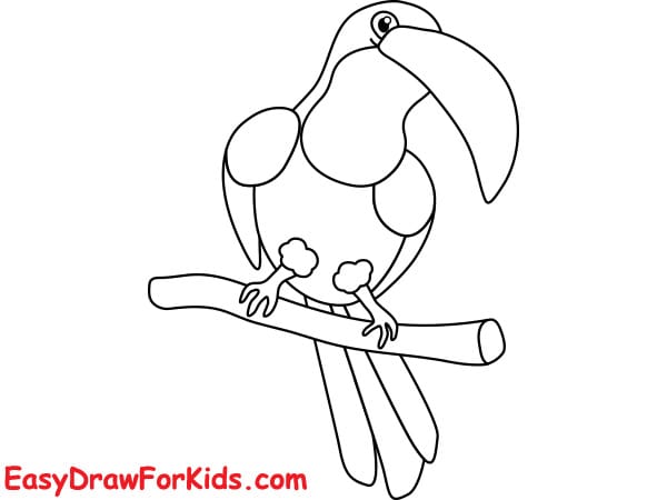 How to draw a toucan easy step by step step 5