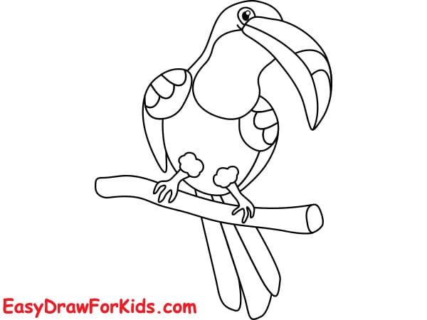 How to draw a toucan easy step by step step 6