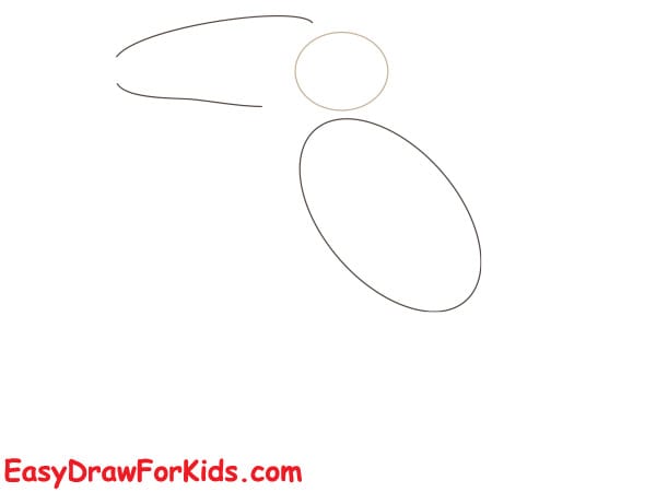 How to draw a toucan realistic step 1