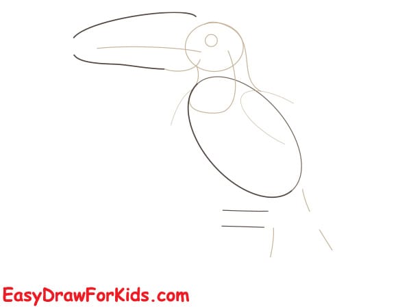 How to draw a toucan realistic step 2