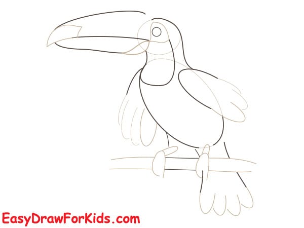 How to draw a toucan realistic step 3