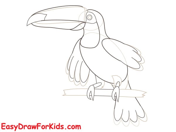 How to draw a toucan realistic step 4
