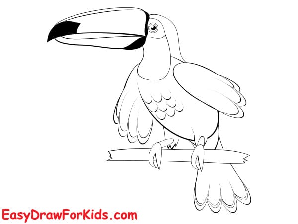 How to draw a toucan realistic step 5