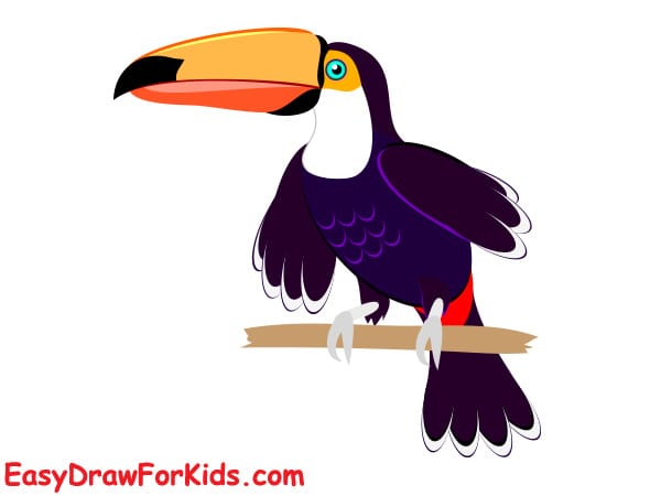 How to draw a toucan realistic step 6