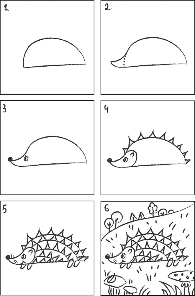 how to draw a hedgehog