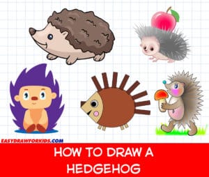 how to draw a hedgehog