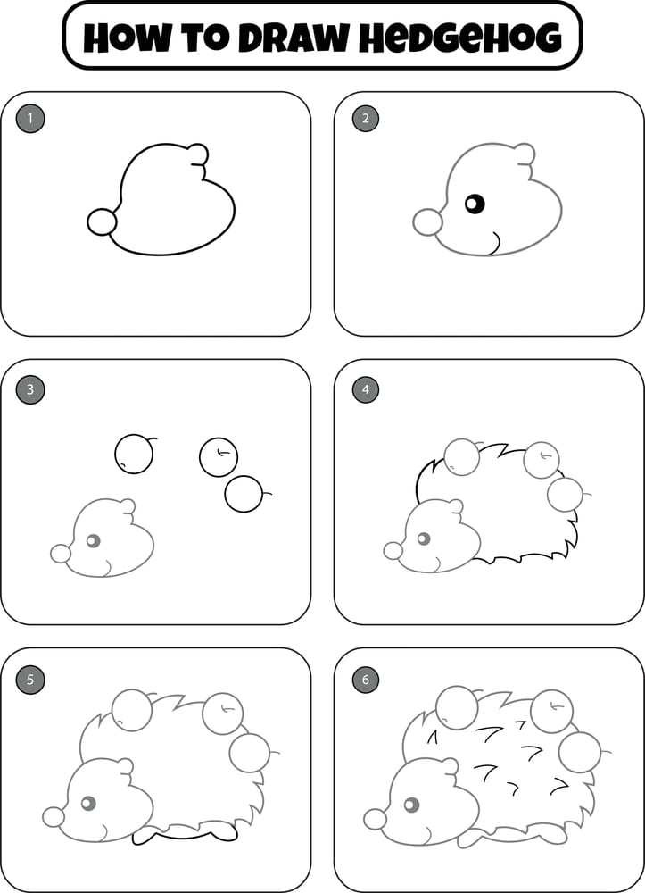 how to draw a hedgehog