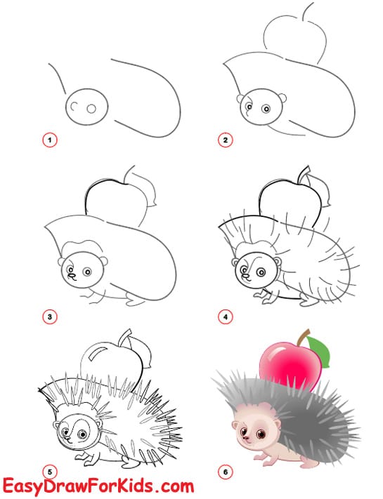 how to draw a hedgehog