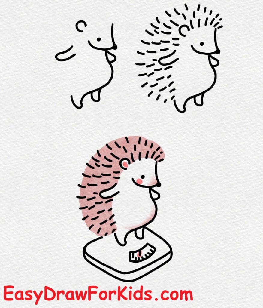 how to draw a hedgehog