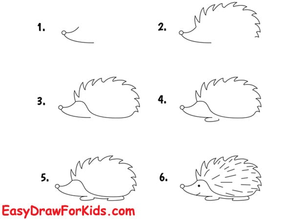 how to draw a hedgehog
