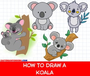 how to draw a koala