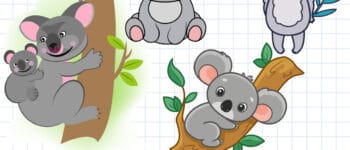 How to Draw a Koala – 4 Ways (With Pictures)