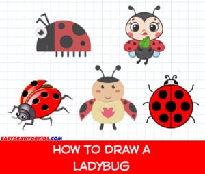 how to draw a ladybug