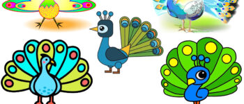 How To Draw A Peacock – 8 Ways (With Pictures)