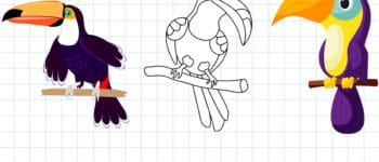 How to Draw a Toucan – 4 Ways (With Pictures)