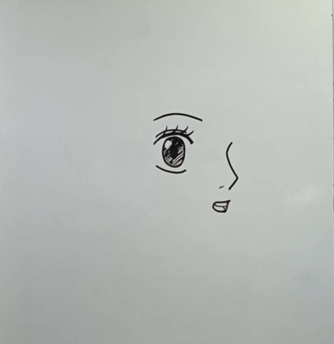 nami face drawing step 2