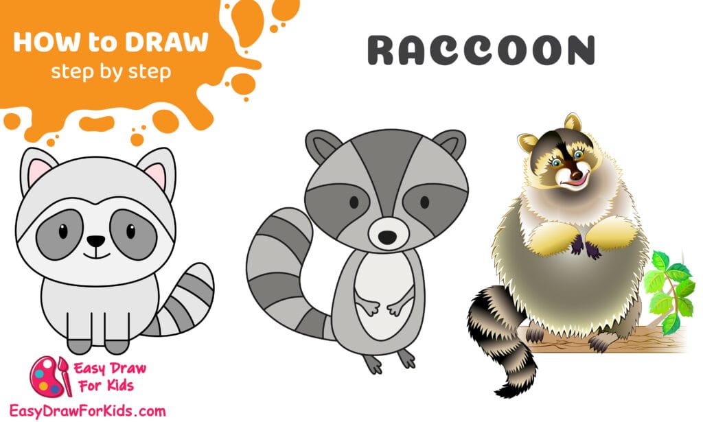raccoon drawing