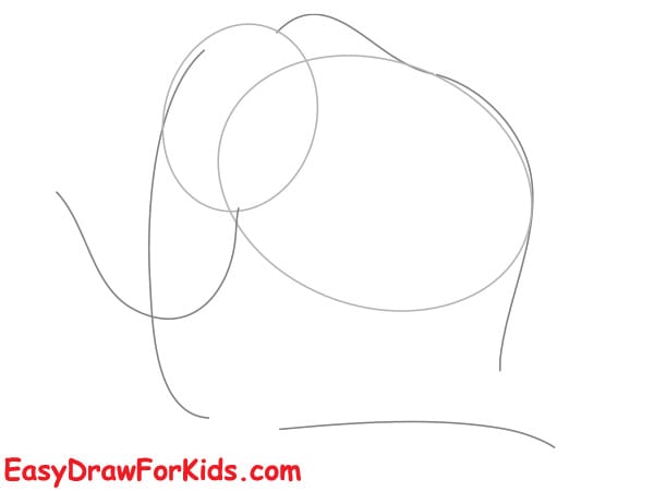 realistic mammoth drawing step 1