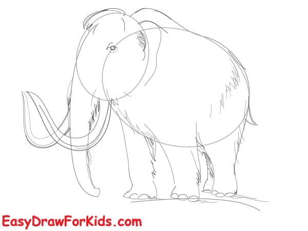 realistic mammoth drawing step 3