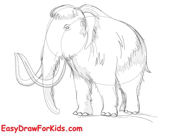 realistic mammoth drawing step 4