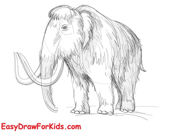realistic mammoth drawing step 5
