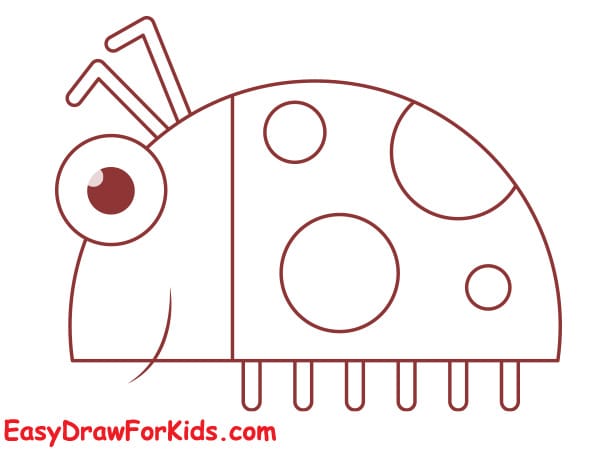 simple ladybug drawing step 4
