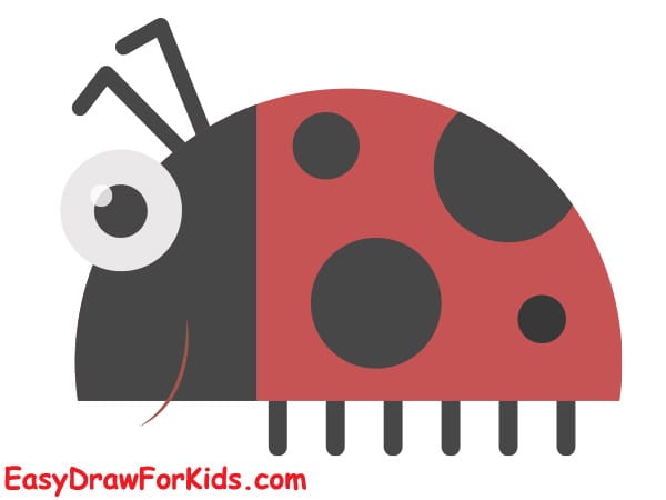 simple ladybug drawing step 5