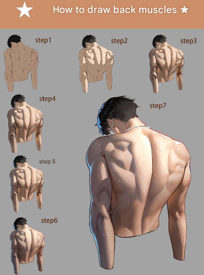 how to draw back muscles